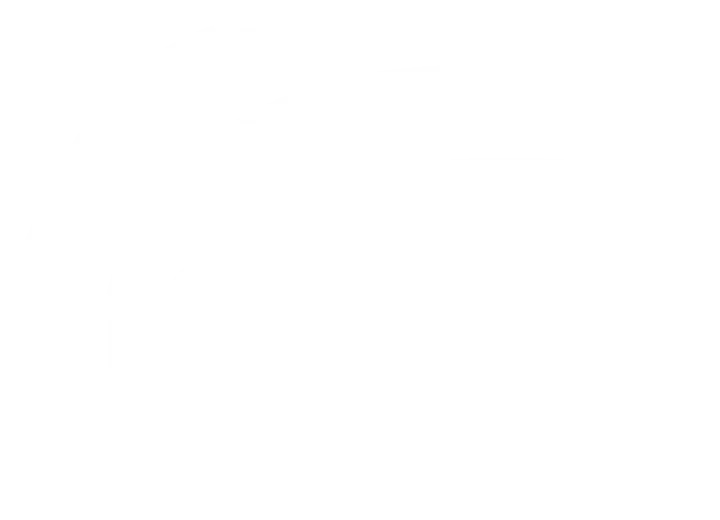 Bani Tour and Travels